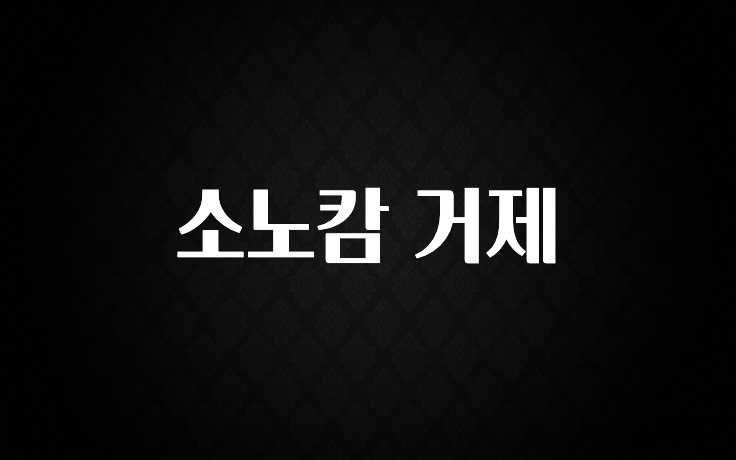 소식”미리보기” 소노캄 거제 아주 좋은 정보입니다