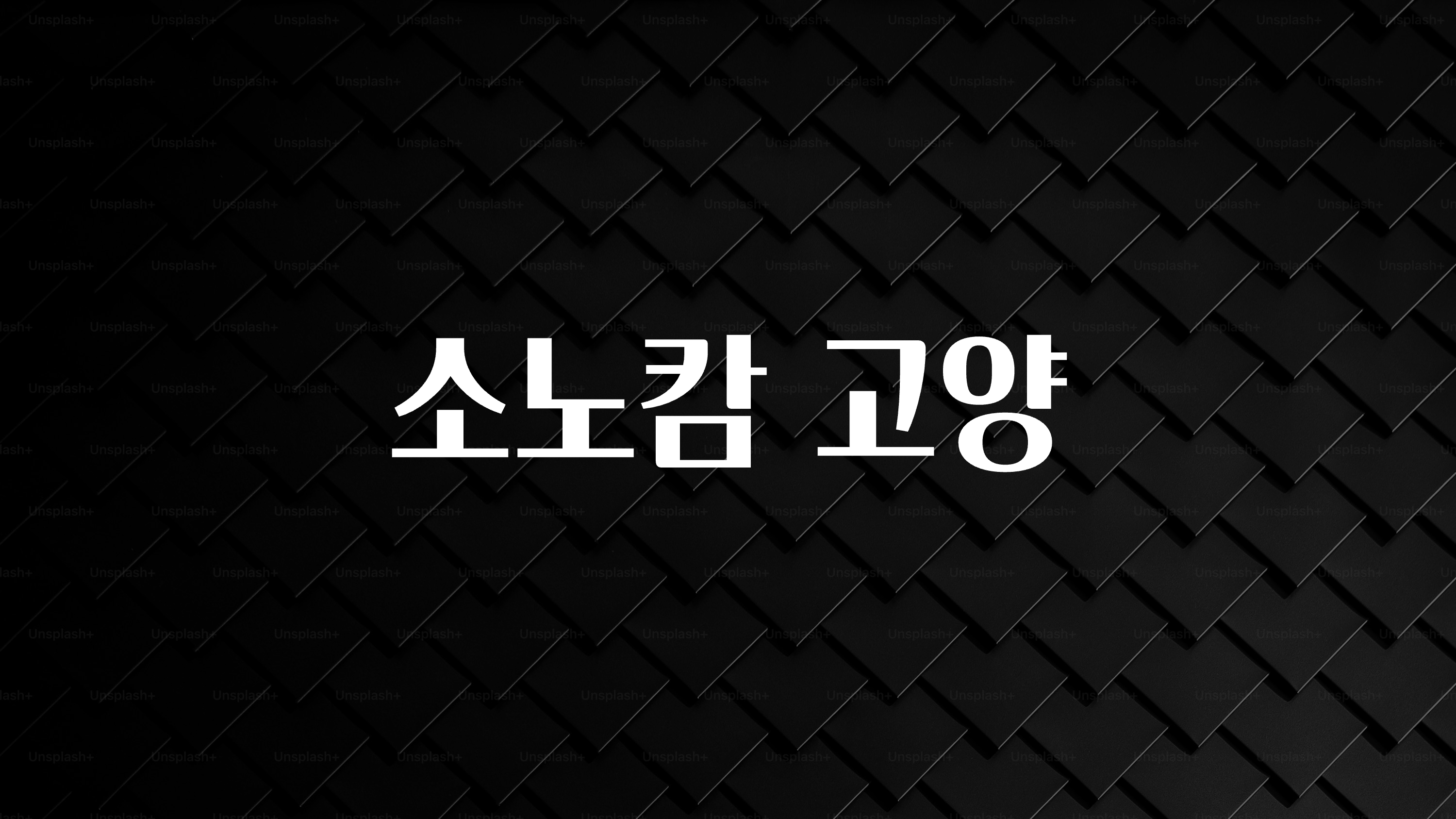이번 선물은 꼭 소노캄 고양 알짜배기만 골라가세요