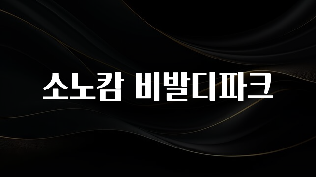 기다렸던 정보 소노캄 비발디파크 요약본만 확인해보세요