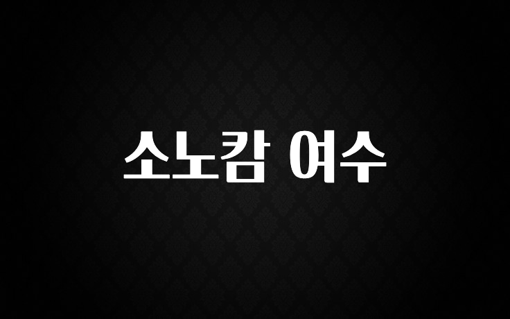 이번 선물은 꼭 소노캄 여수 전합니다