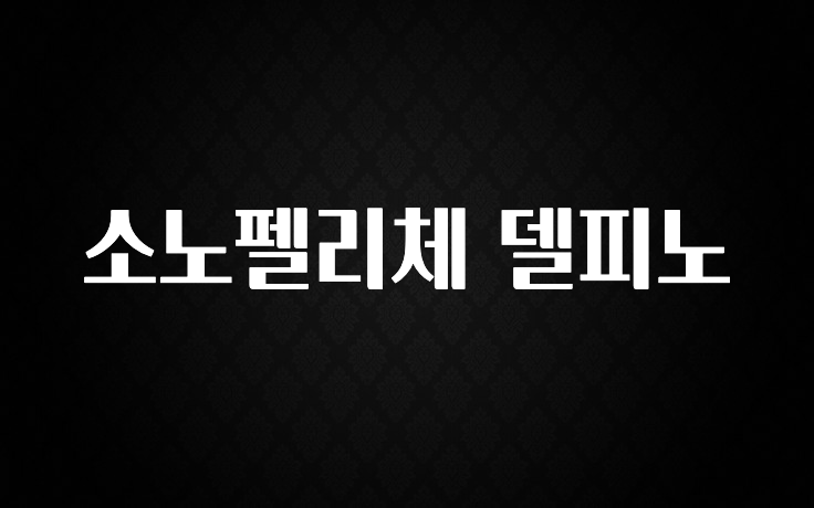 종.결.판 소노펠리체 델피노 전해드립니다