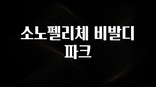 이 “정보” 못참지 소노펠리체 비발디파크 바로 소개합니다.