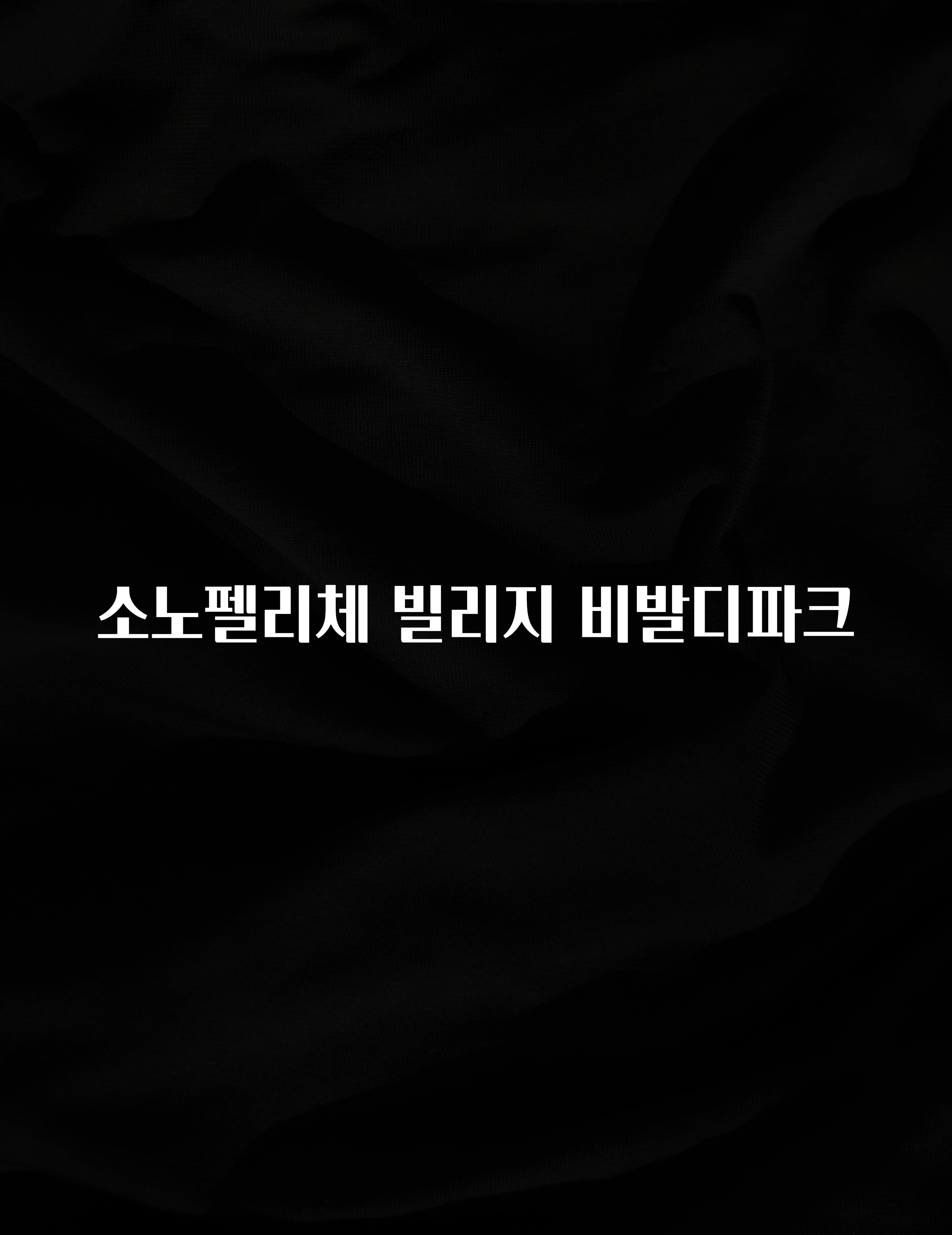 올해 꼭 알아두기 소노펠리체 빌리지 비발디파크 지금떳다