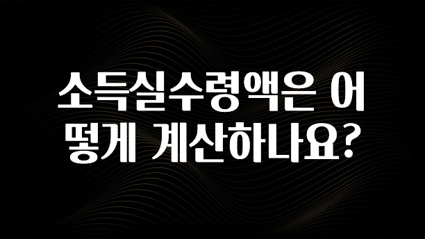 우리도 이렇게 하자 소득실수령액은 어떻게 계산하나요? 실사용 후기