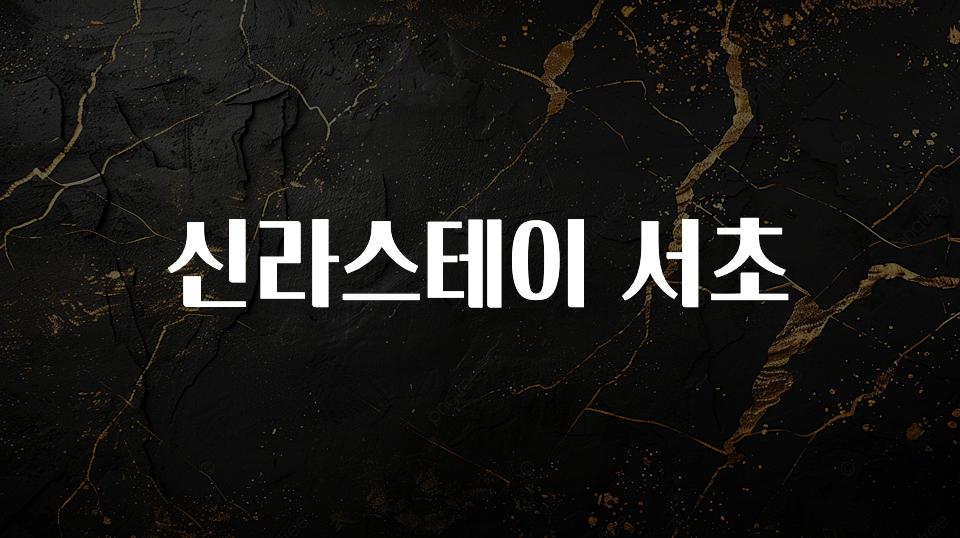 꼭 확인해야하는 이유 신라스테이 서초 바로 소개합니다.