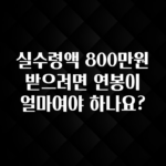 +최신 소식 실수령액 800만원 받으려면 연봉이 얼마여야 하나요? 확인해보세요