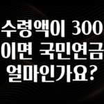 간편확인 실수령액이 300만원이면 국민연금은 얼마인가요? 30초면 확인 가능합니다