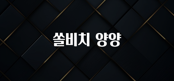 “꼭”클릭해야하는 이유 쏠비치 양양 바로 소개합니다.