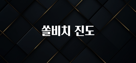 클릭필수 쏠비치 진도 클릭해보세요