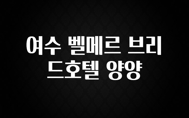 주목 여수 벨메르 브리드호텔 양양 실시간 리뷰입니다