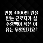 추가소식 연봉 4000만 원을 받는 근로자가 실수령액이 적은 이유는 무엇인가요? 알려드릴게요