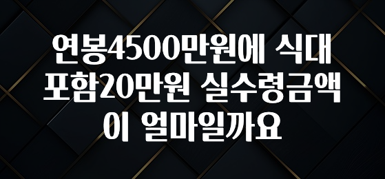 후회하지 않는 연봉4500만원에 식대포함20만원 실수령금액이 얼마일까요 놓치지마세요