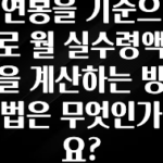 추가정보 연봉을 기준으로 월 실수령액을 계산하는 방법은 무엇인가요? 최신정보