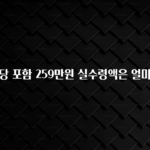 대박인 증거 연차수당 포함 259만원 실수령액은 얼마인가요 최신정보