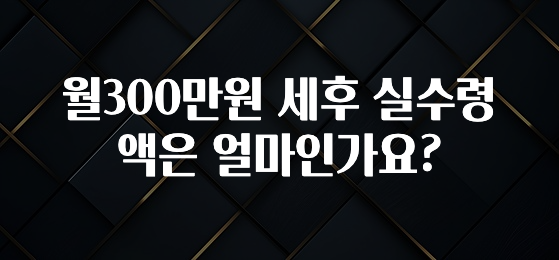 요즘 이게 유행 월300만원 세후 실수령액은 얼마인가요? 확인해보세요