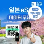 클릭하고 싶은 순간 일본esim 요약정리