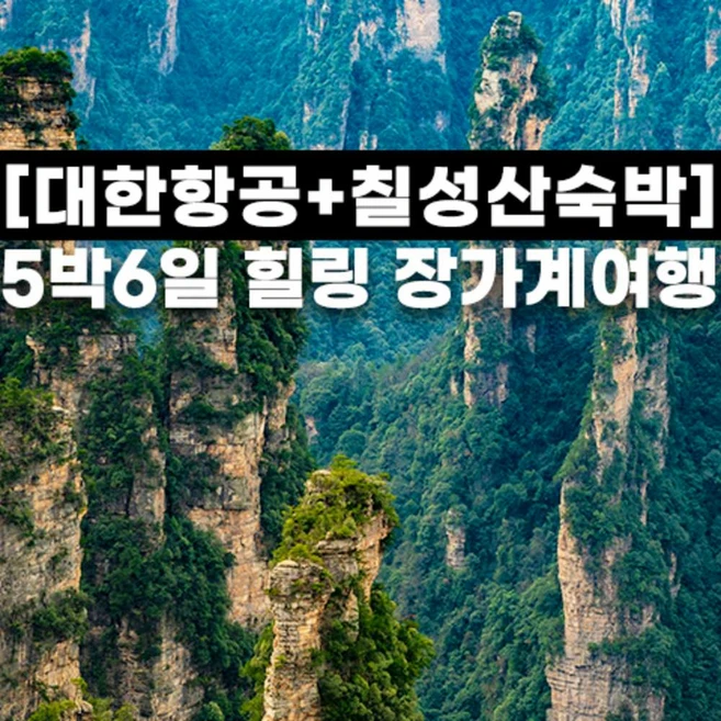 역대급 라인업 장가계 뜨거운 관심 감사합니다