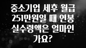 모두가 궁금했던 중소기업 세후 월급 251만원일 때 연봉 실수령액은 얼마인가요? 소개합니다
