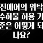 최저가만 선정 진에어의 위탁수하물 허용 기준은 어떻게 되나요? 주목하고 계십니다