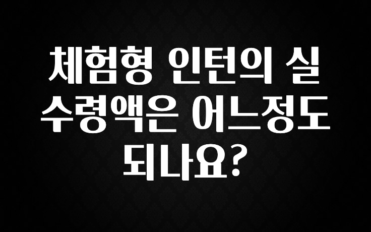 사실 찐정보는 체험형 인턴의 실수령액은 어느정도 되나요? 후회하지 않습니다