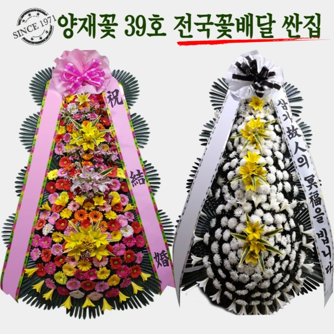 긴급소식 축하화환 알짜배기만 골라가세요