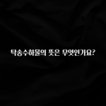 최다 검색한 탁송수하물의 뜻은 무엇인가요? 알려드릴게요