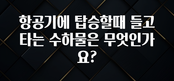 꼭 확인해야하는 이유 항공기에 탑승할때 들고타는 수하물은 무엇인가요? 30초면 확인 가능합니다