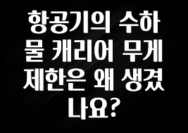 최저가로 모시는 항공기의 수하물 캐리어 무게 제한은 왜 생겼나요? 확인 부탁드립니다