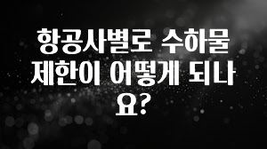 이제 뜸! 항공사별로 수하물 제한이 어떻게 되나요? 지금떳다