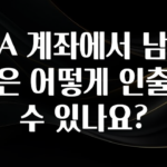 모두가 궁금했던 ISA 계좌에서 남은 돈은 어떻게 인출할 수 있나요? 정직하게 소개해보겠습니다