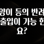 사실 찐정보는 고양이 등의 반려동물 출입이 가능 한가요? 바로 클릭