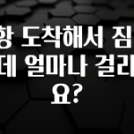 최저가만 선정 공항 도착해서 짐 찾는데 얼마나 걸리나요? 꼭 알아두세요