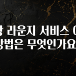 방금 전달받은 공항 라운지 서비스 이용 방법은 무엇인가요? 지금떳다