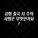 모두가 궁금해 했던 공항 출국 시 주의사항은 무엇인가요? 전합니다