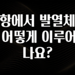 가성비 좋은 공항에서 발열체크는 어떻게 이루어지나요? 관심이 뜨거운 이유 입니다