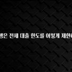 간편확인 국민은행은 전세 대출 한도를 어떻게 제한하나요? 추천드릴게요