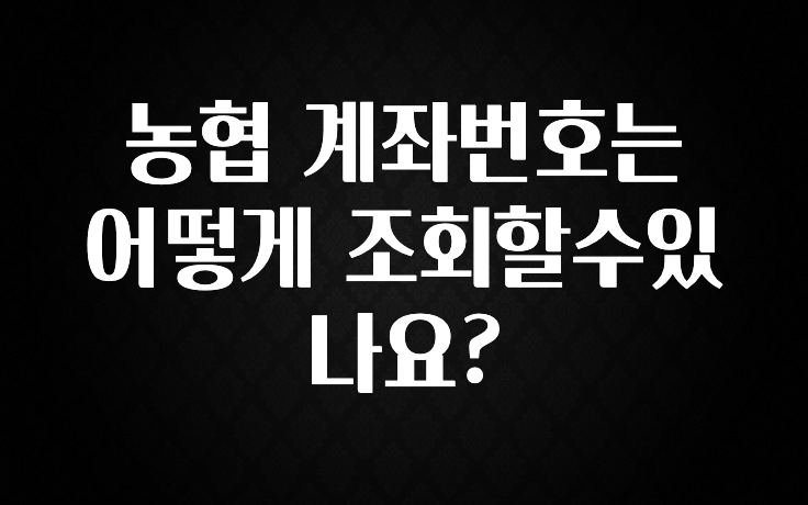 지금 바로 공개 농협 계좌번호는 어떻게 조회할수있나요? 리뷰 해보겠습니다