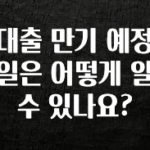 추가정보 대출 만기 예정일은 어떻게 알수 있나요? 소개합니다