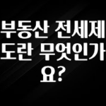 역대급 라인업 부동산 전세제도란 무엇인가요? 궁금하신가요?