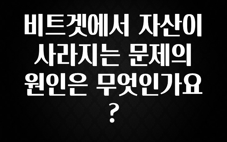유튜브에서 난리난 정보 비트겟에서 자산이 사라지는 문제의 원인은 무엇인가요? 뜨거운 관심 감사합니다