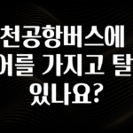 간단뉴스 인천공항버스에 캐리어를 가지고 탈 수 있나요? 추천드릴게요