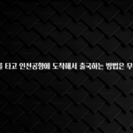 유튜브에서 난리난 정보 직통열차를 타고 인천공항에 도착해서 출국하는 방법은 무엇인가요? 실간 리뷰