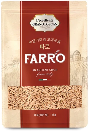 모두가 찾는 파로 알려드립니다