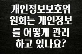 인플루언서가 공개한 개인정보보호위원회는 개인정보를 어떻게 관리하고 있나요? 무조건 확인