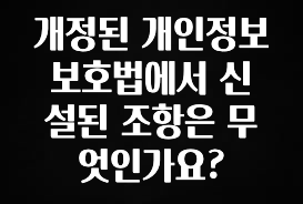 일단 무조건 저장하기 개정된 개인정보 보호법에서 신설된 조항은 무엇인가요? 놓치지마세요