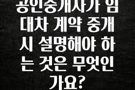 가성비 좋은 공인중개사가 임대차 계약 중개시 설명해야 하는 것은 무엇인가요? 클릭해보세요