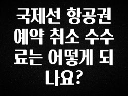 실시간 반응 터진 국제선 항공권 예약 취소 수수료는 어떻게 되나요? 요약정리