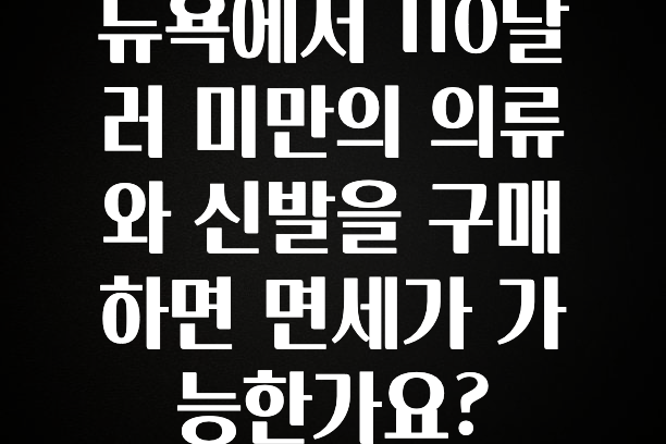 꼭 알아야하는 뉴욕에서 110달러 미만의 의류와 신발을 구매하면 면세가 가능한가요? 추천드릴게요
