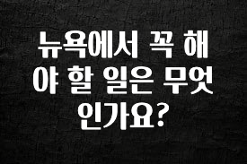 설레는 이유는 “이거” 뉴욕에서 꼭 해야 할 일은 무엇인가요? 확인 부탁드립니다
