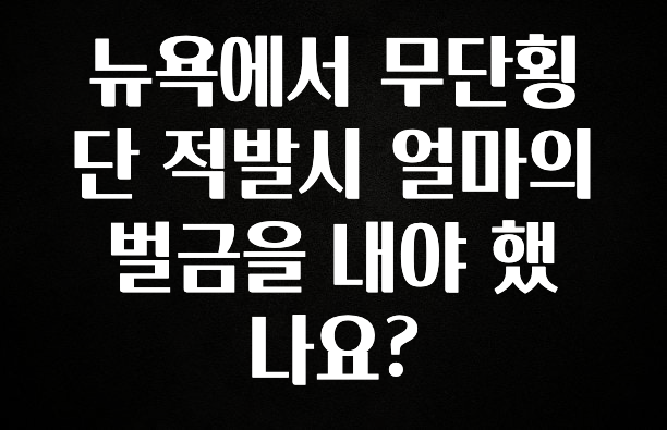 이게 진짜라고? 뉴욕에서 무단횡단 적발시 얼마의 벌금을 내야 했나요? 관심이 뜨겁습니다